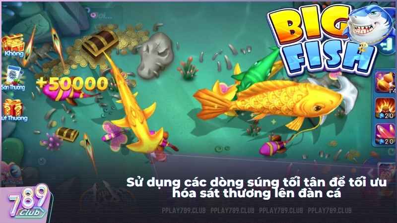 Sử dụng các dòng súng tối tân để tối ưu hóa sát thương lên đàn cá